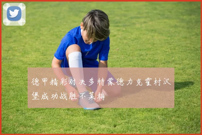 德甲精彩对决多特蒙德力克霍村汉堡成功战胜不莱梅