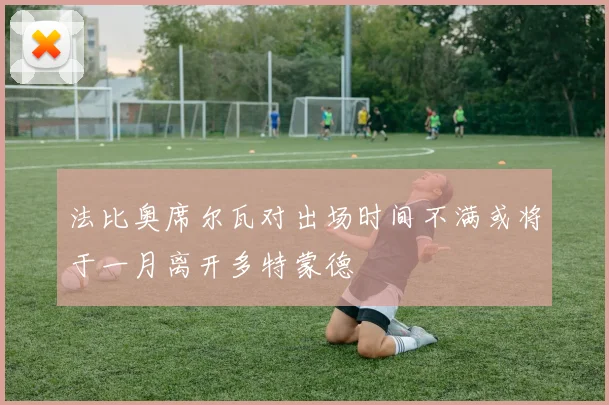 法比奥席尔瓦对出场时间不满或将于一月离开多特蒙德